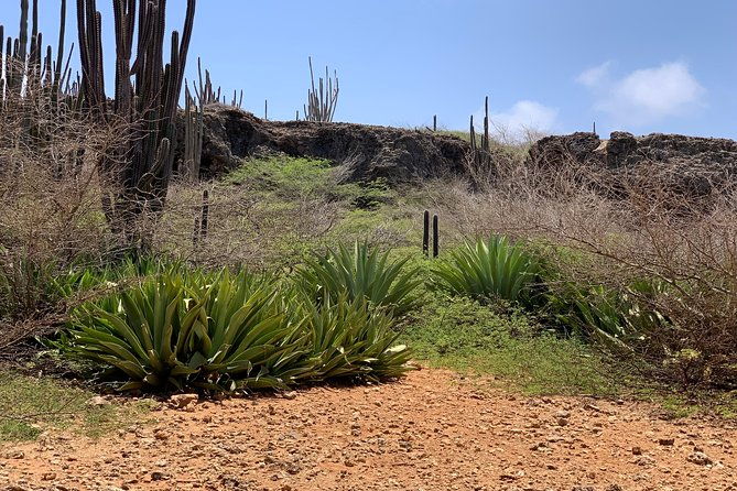 indian-inscriptions-tour-with-local-guide