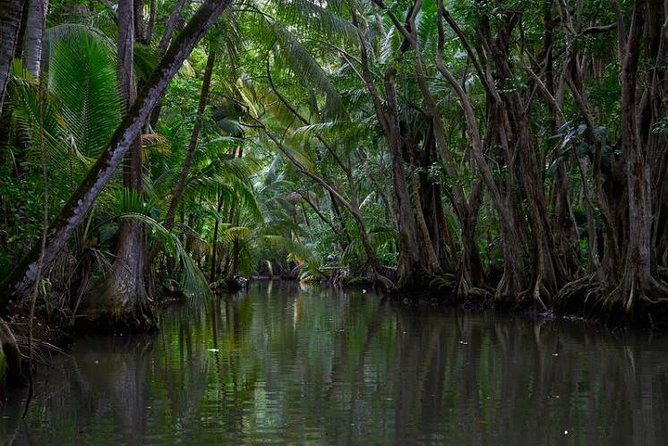 indian-river-cold-soufriere-fort-shirley-northern-excursion