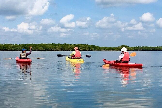 indian-river-lagoon-preserve-kayak-tour