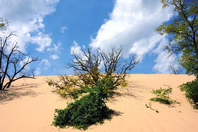 indiana-dunes-national-park-with-audio-tour-guide