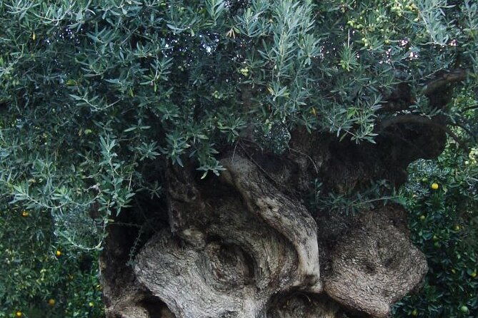 individual-travel-accompaniment-east-crete