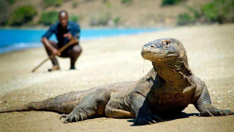 indonesia-20-day-island-hopping-adventure-from-bali