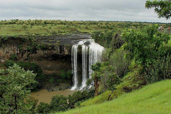 Indore Local Tour - What does the experience include?