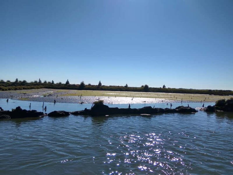 Industry or Nature Boat Tour | Speedboat - Overview of the Speedboat Experience