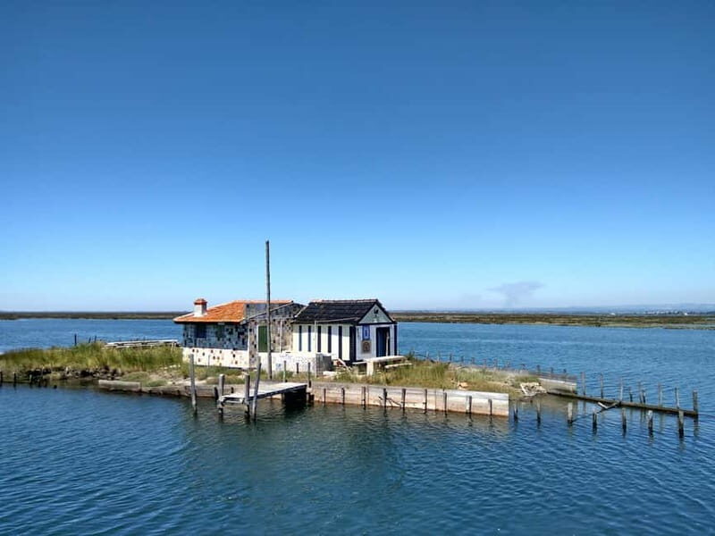 Industry or Nature Boat Tour | Speedboat - The Itinerary in Detail