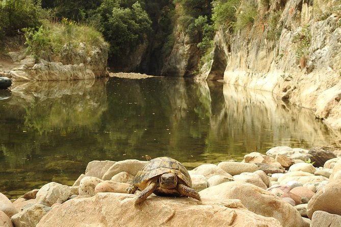inflatable-boat-excursion-gole-di-tiberio-on-the-madonie-near-cefalu