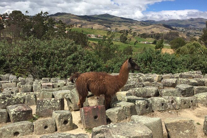 ingapirca-ruins-inca-mountain-face-tour-from-cuenca-with-small-group