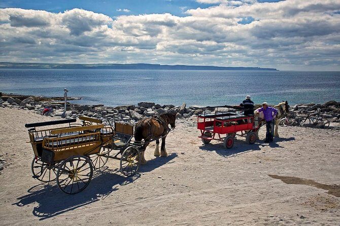 Inis Mór (Aran Islands) Day Trip: Return Ferry from Rossaveel, Galway - Authentic Experiences and Practical Details