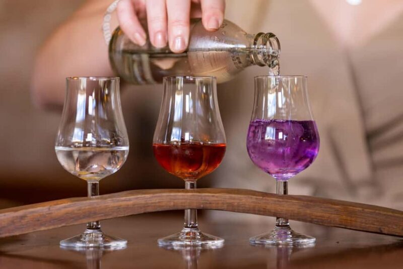 Ink Gin Experience at Husk Farm Distillery - What Is the Ink Gin Experience at Husk Farm Distillery?  