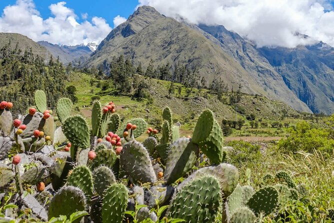 inka-trail-4-days-to-machupicchu