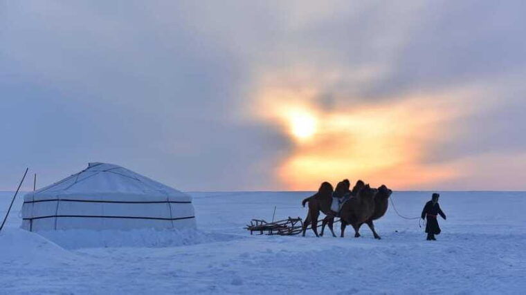 inner-mongilia-6-day-hulunbuir-private-winter-tour