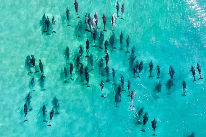 Inner Reef Explorer - 30 minute Reef Scenic Flight - The Experience Detailed