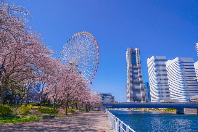 Innovation & Culture of Yokohama  5h Private Shore Tour - Key Points