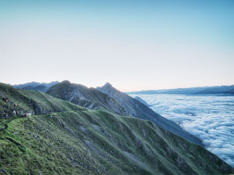 innsbruck-alpenzoo-top-of-innsbruck-combination-ticket