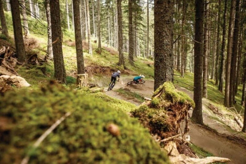 Innsbruck: Downhill Guiding - Bike Park Innsbruck - An Authentic Downhill MTB Adventure in Innsbruck