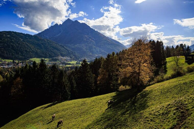 innsbruck-panoramic-hike-across-the-telfer-meadows