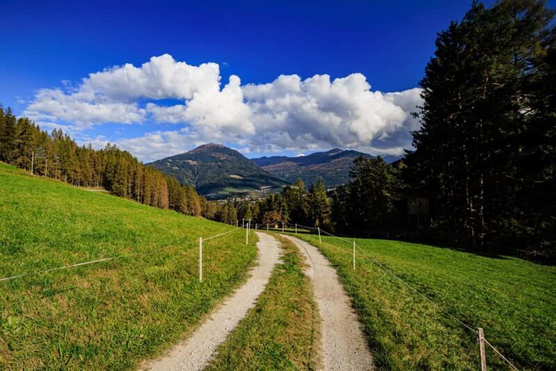 Innsbruck: Panoramic hike across the Telfer Wiesen - Authentic Insights from Past Participants