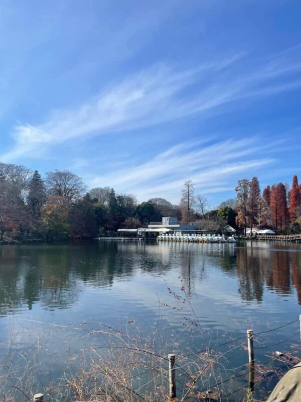 Inokashira Park: Guided Nature & Hidden Gems Walk - Value and Practicality