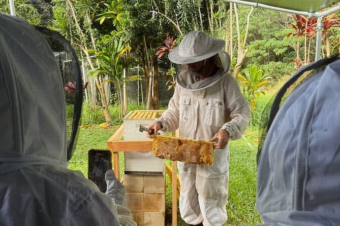 inside-the-hive-kauai-honey-and-bee-tour