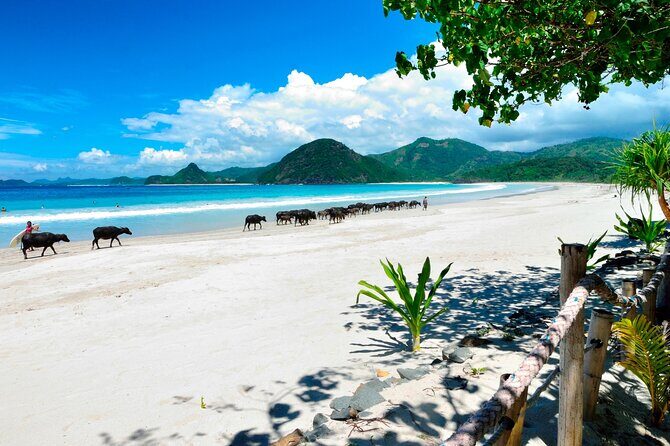 Instagramable Beach Hopping Trip - The Travel Experience: Pros and Cons