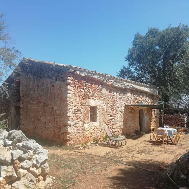 intensive-chiromassage-workshop