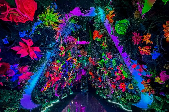 inter-interactive-art-experience-ticket