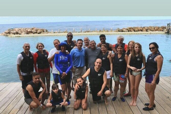 interactive-dolphin-experience