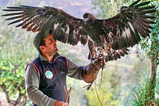 Interactive Educational Course on Birds of Prey - FAQs