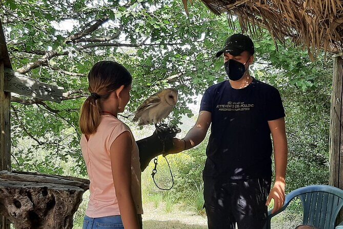 Interactive Educational Course on Birds of Prey - Final Thoughts