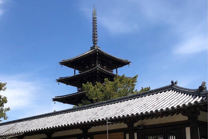 Intercity Transfer Kyoto to Osaka with Nara Sightseeing by Car - Why This Tour is a Great Value