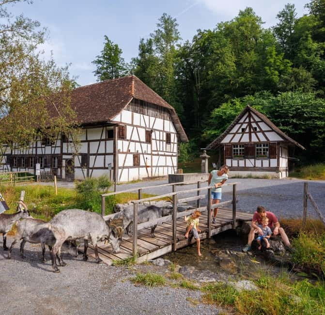 Interlaken: Admission ticket for the Ballenberg Open-Air Museum - The Craft Demonstrations and Exhibits