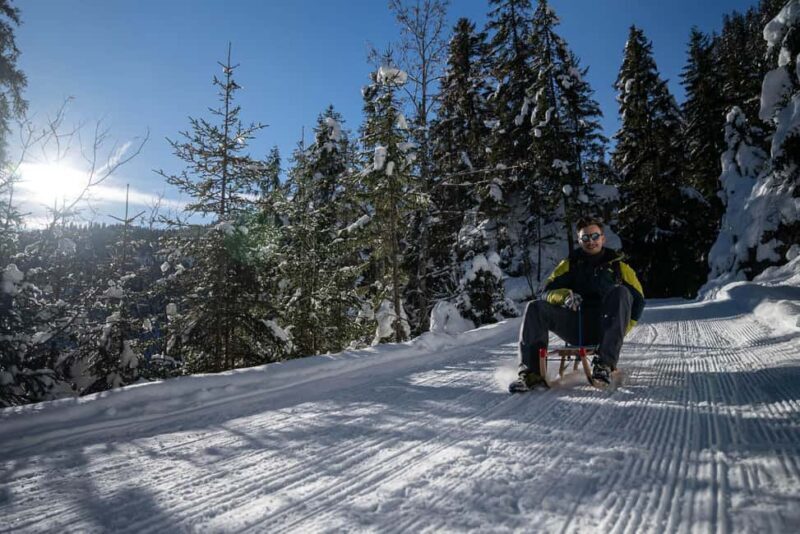 Interlaken: Guided Sledging Adventure - An Overview of the Sledging Experience in Interlaken  