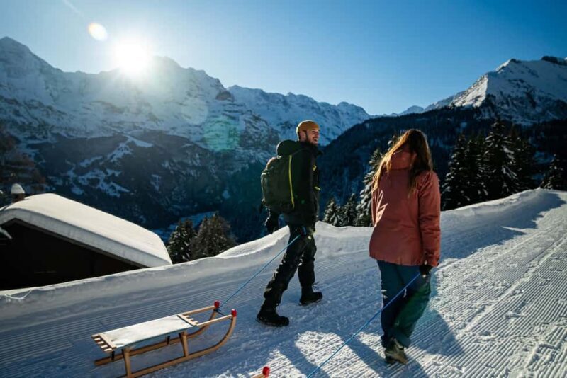 Interlaken: Guided Sledging Adventure - The Practicalities and Value  