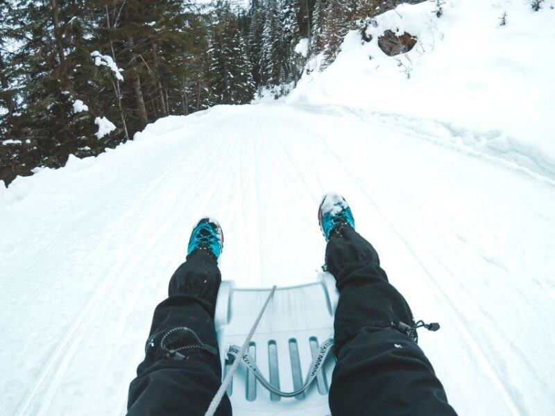 Interlaken: Guided Sledging Adventure - Who Should Consider This Tour  