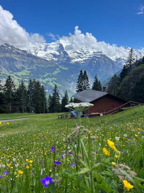 Interlaken: hike to an Alpine Lake and a Cozy Mountain Hut. - What Travelers Say