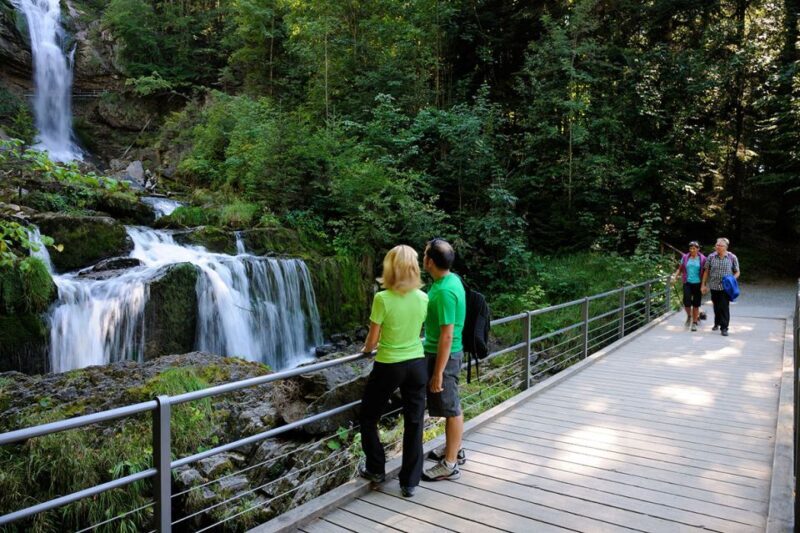 Interlaken & Jungfrau: Custom-Tailored Tour with Local Guide - Why This Tour Works Well
