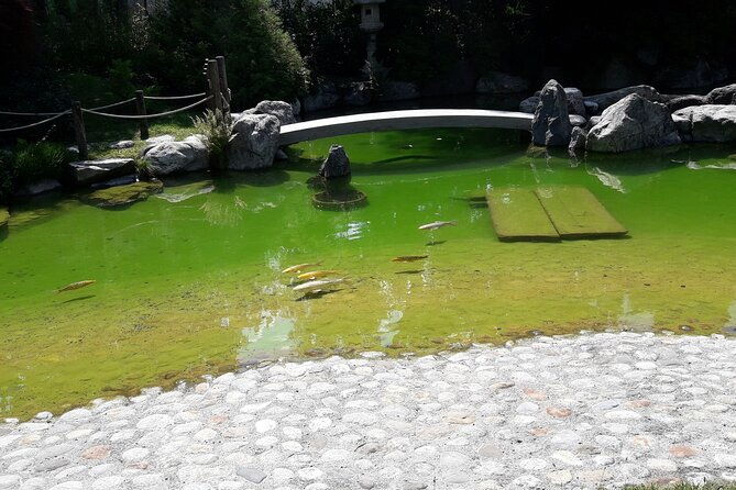 interlaken-non-stop-intro-safari-with-cloy-pier-iseltwald-private