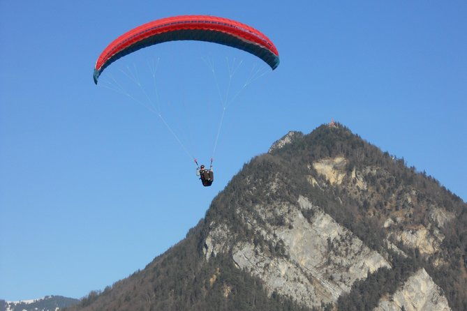 interlaken-private-tour-mountains-cows-thun-lake-and-brienz-lake