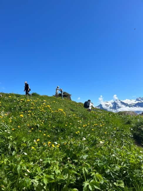 Interlaken: Scenic hiking tour from Mürren to Rotstock hut. - Logistics and Practicalities