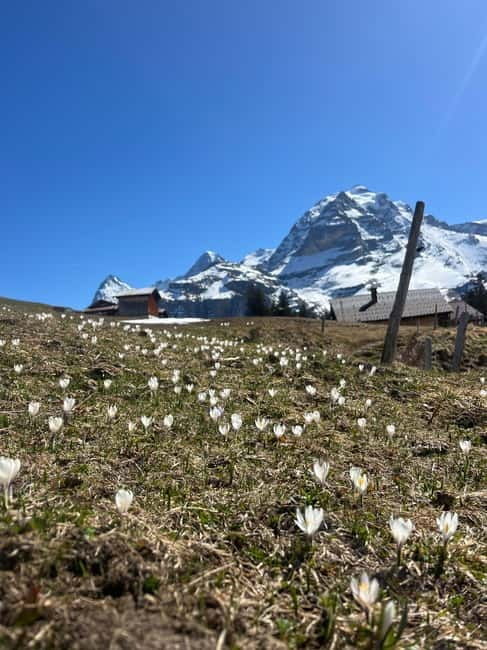 Interlaken: Scenic hiking tour from Mürren to Rotstock hut. - The Experience with 2 Feet in the Alps
