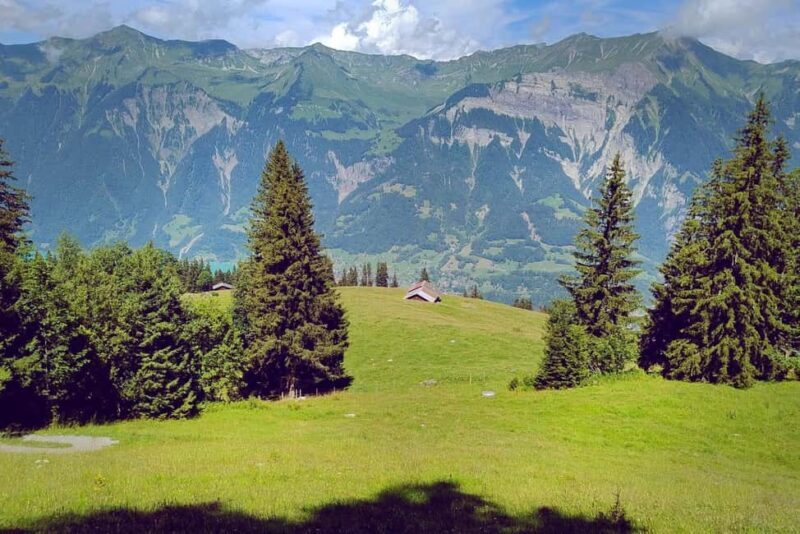 Interlaken: Scenic Walk and Raclette by the Mountain Lake - Key Points