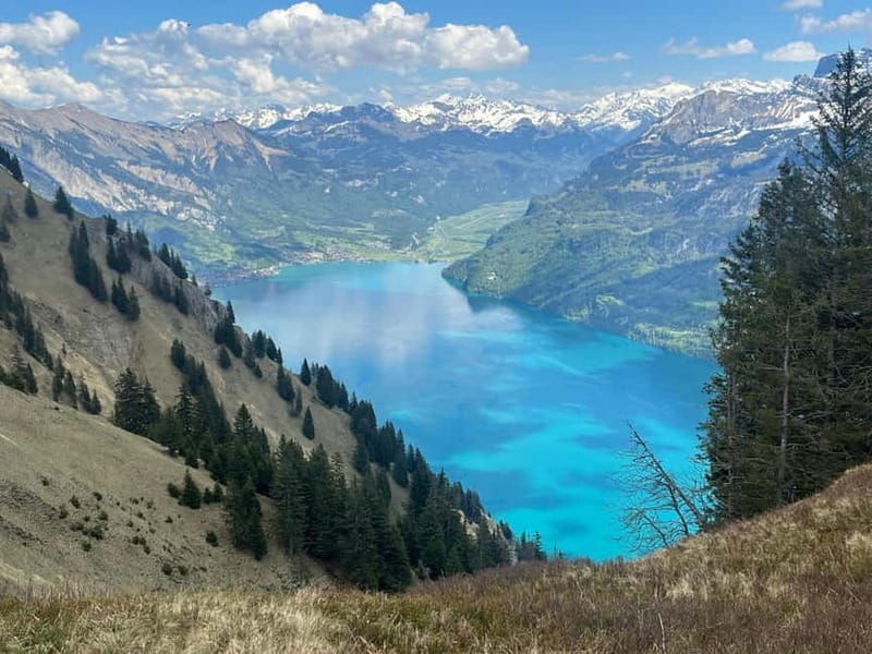 Interlaken: Summit the Augstmatthorn with a Swiss Triathlete - What’s Included and What to Prepare For