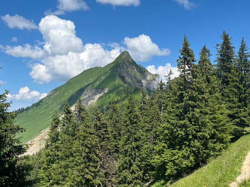 Interlaken: Summit the Augstmatthorn with a Swiss Triathlete - Who Will Enjoy This Tour?
