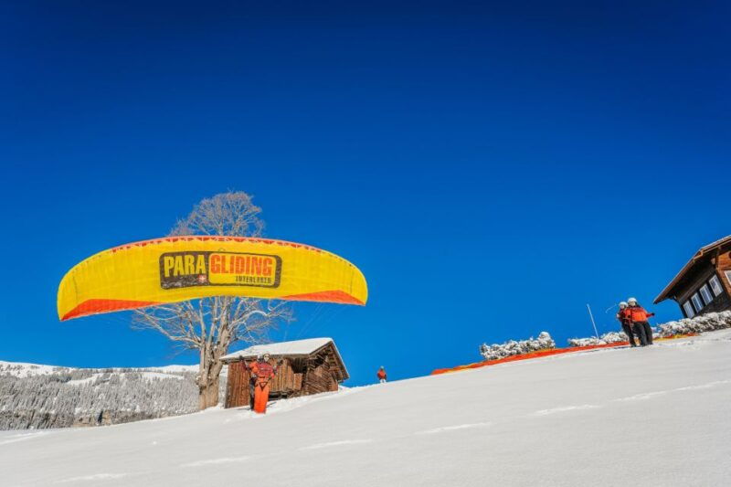 Interlaken: Tandem Paragliding Flight - Authentic Perspectives from Reviewers
