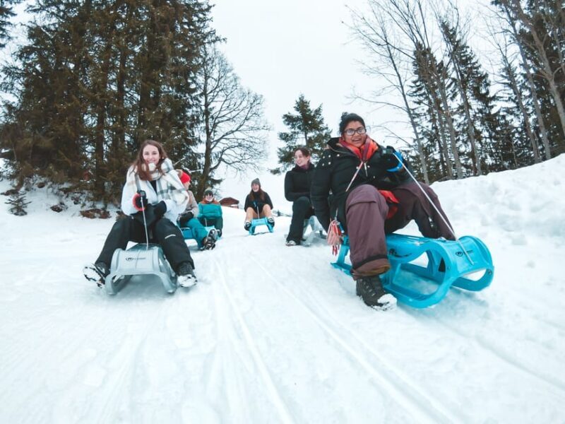 Interlaken: Winter Alpine Adventure - Snowshoe and Sledding - Variations and Additional Options