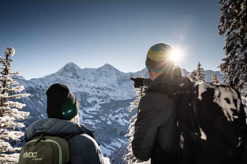 Interlaken: Winter Alpine Adventure - Snowshoe and Sledding - Who Will Love This Tour?