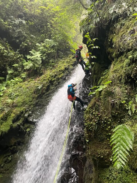 Intermediate Canyoning Madeira - What to Expect from the Madeira Intermediate Canyoning Tour