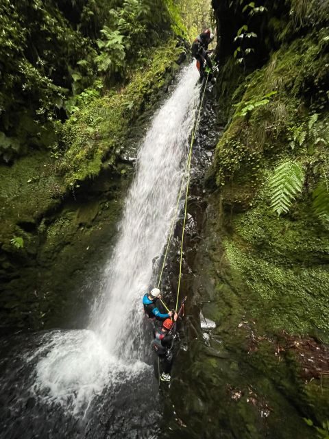 Intermediate Canyoning Madeira - Why This Tour Works Well for Different Travelers