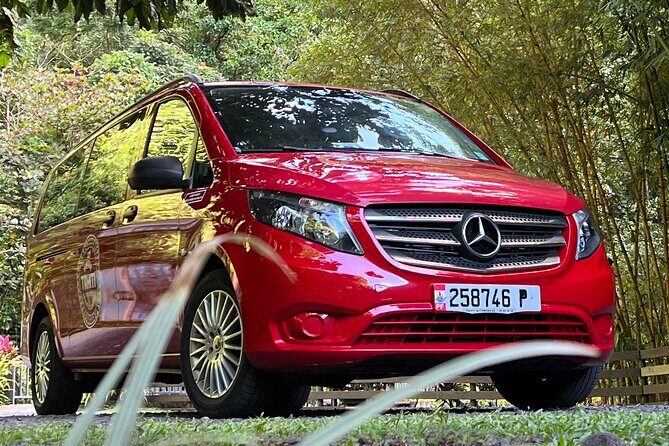 International private transfer, arrival departure, airport pier hotel rental - Who Should Book This Service?