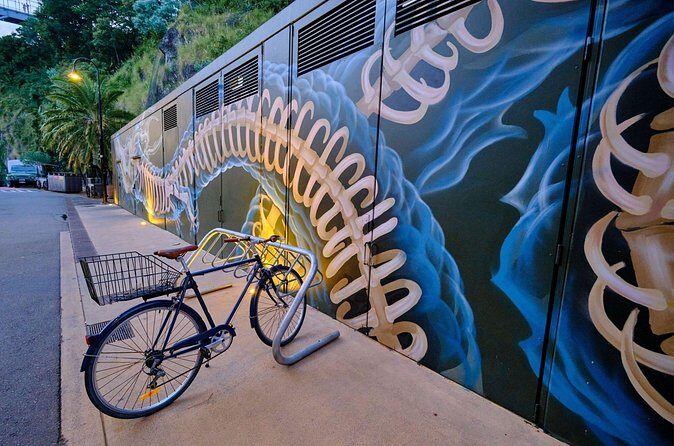 International Street Art Walking Tour, Brisbane - Authentic Insights from Reviews